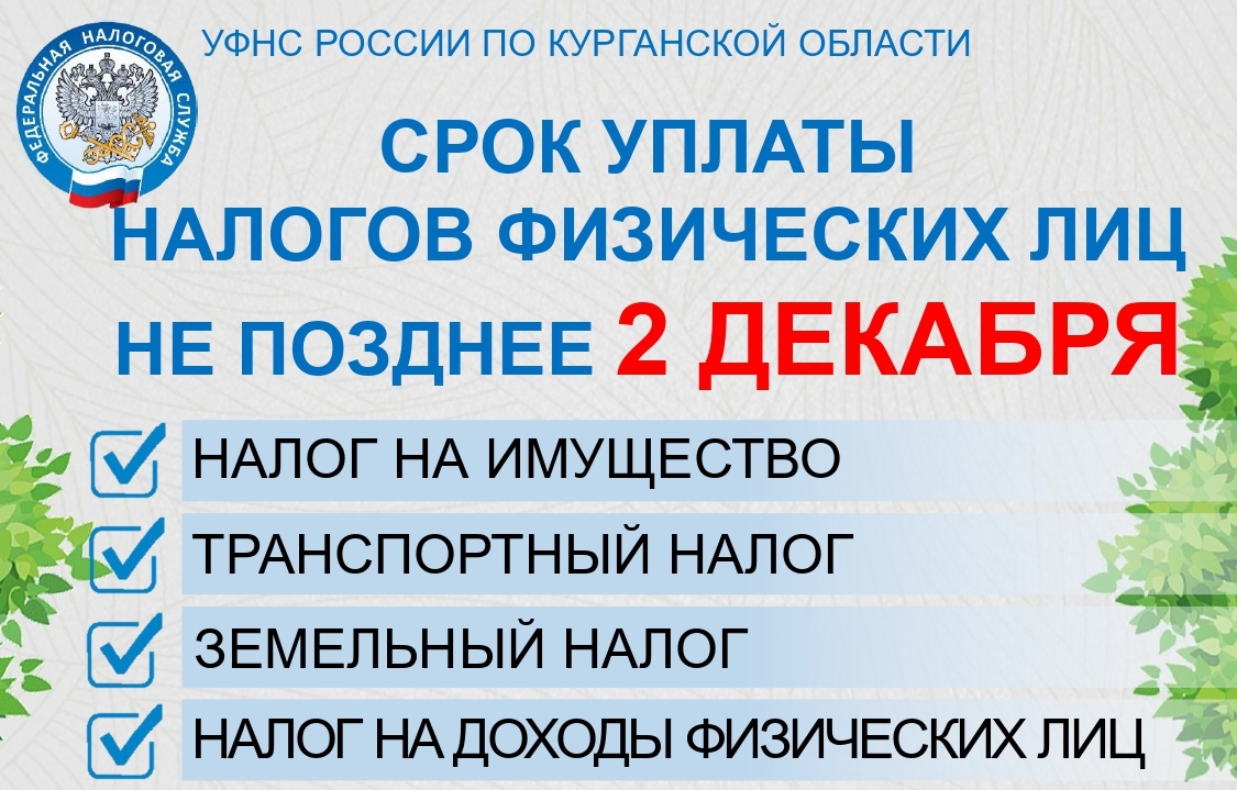 Срок уплаты налогов - 2 декабря 2024 года.