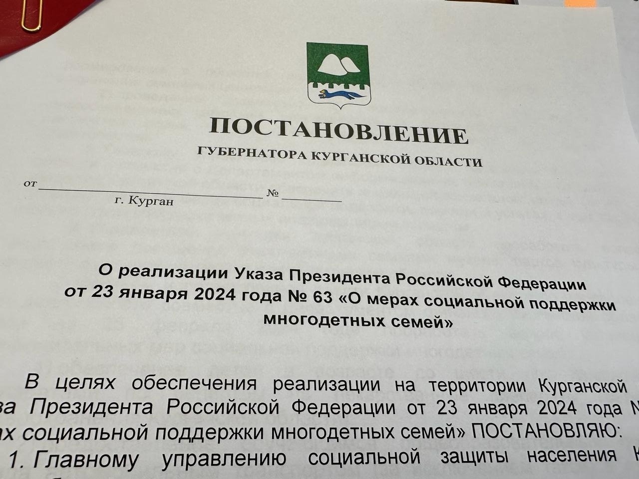 В Курганской области планируют ввести новые меры поддержки многодетных семей.