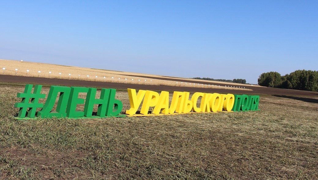 🌾В городе Кургане на полях ЗАО &quot;Глинки&quot; состоится десятая окружная агровыставка &quot;День Уральского поля-2024&quot;..