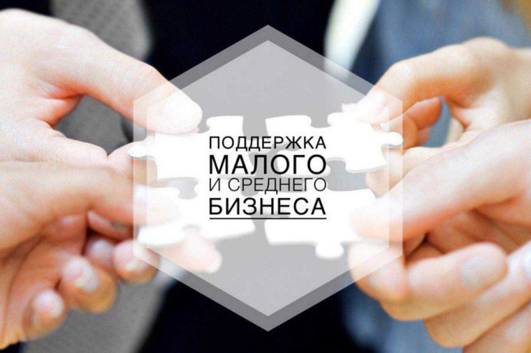 Поддержка малого и среднего бизнеса. Поддержка малого и среднего бизнеса.