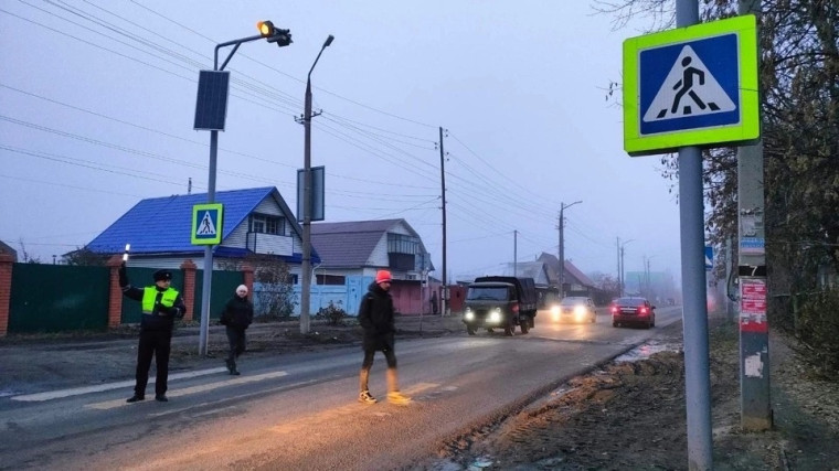Водителям напомнят правила проезда пешеходных переходов. Водителям напомнят правила проезда пешеходных переходов.