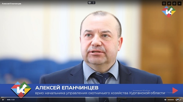 Врио начальника управления охотничьего хозяйства Курганской области Алексей Епанчинцев прокомментировал ситуацию и меры принятые по ликвидации волка, зашедшего на территорию посёлка Курорт Озеро Медвежье Петуховского округа. Врио начальника управления охотничьего хозяйства Курганской области Алексей Епанчинцев прокомментировал ситуацию и меры принятые по ликвидации волка, зашедшего на территорию посёлка Курорт Озеро Медвежье Петуховского округа.