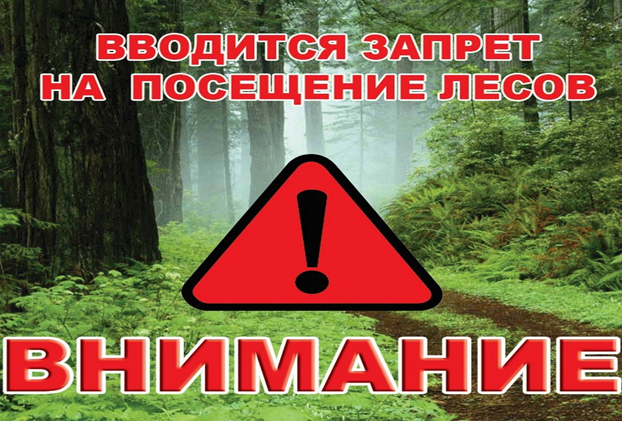 В Курганской области введен запрет на посещение лесов. В Курганской области введен запрет на посещение лесов.