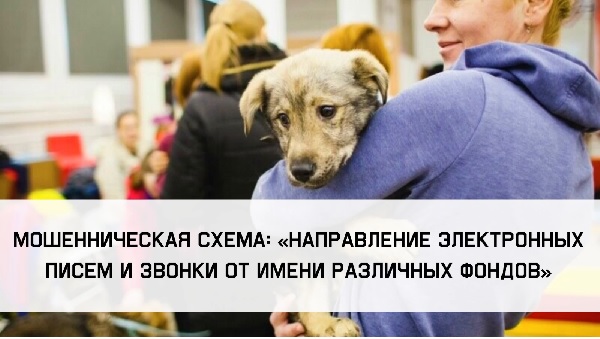 Прокуратура предупреждает: ОСТЕРЕГАЙТЕСЬ МОШЕННИКОВ!. Прокуратура предупреждает: ОСТЕРЕГАЙТЕСЬ МОШЕННИКОВ!.